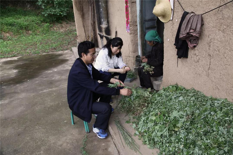 微信图片_20190531163704.jpg