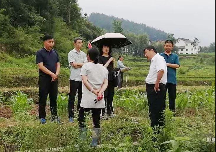 微信图片_20190620163044.jpg