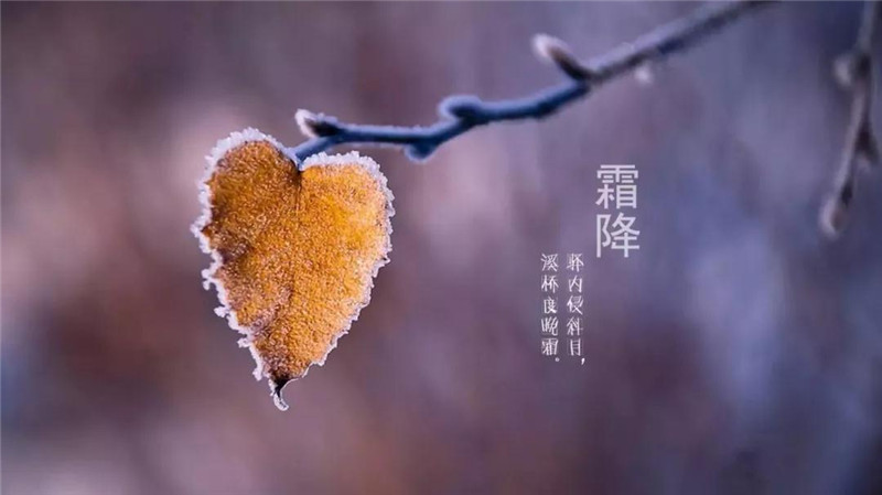 微信图片_20191028111403.jpg