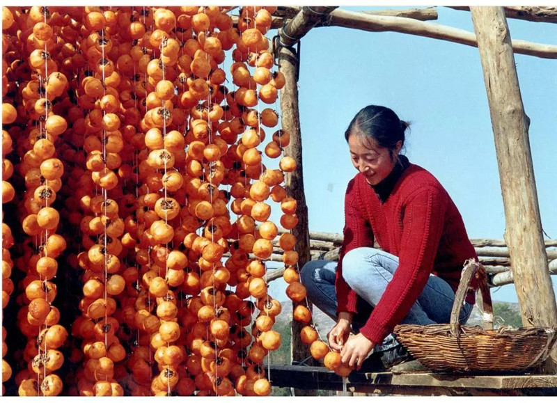 微信图片_20191028111416.jpg